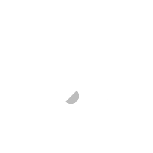 WordPress Podcast (English)